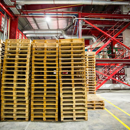 What Are Pallets Used For | When You Need to use | Pallets Introduction